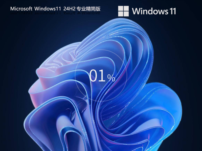 【少量精简】Windows11 24H2 64位 专业精简版镜像|霏雪网络传奇技术学习站